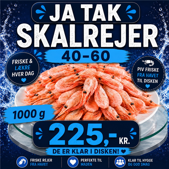 Skalrejer 40-60