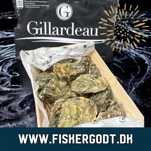 Nytårstilbud 1  - Gillardeau Østers - 12 stk