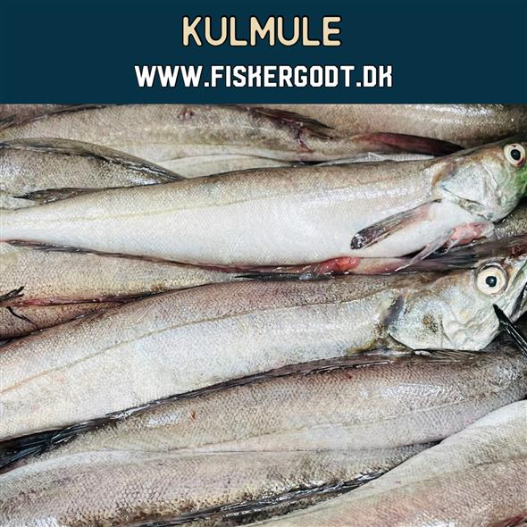 Kulmule - 3000 g