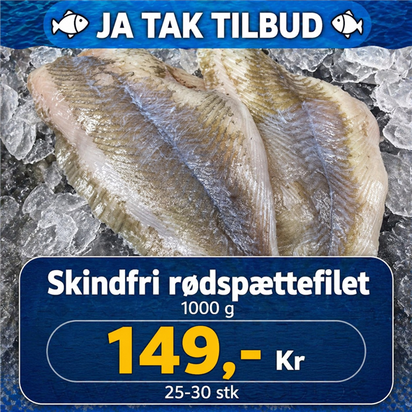 Rødspættefilet - 1000 g