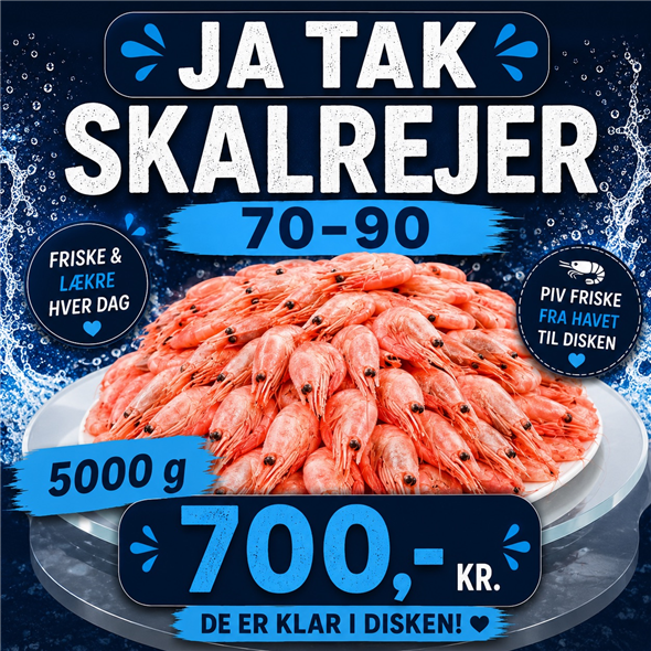 Skalrejer 70-90