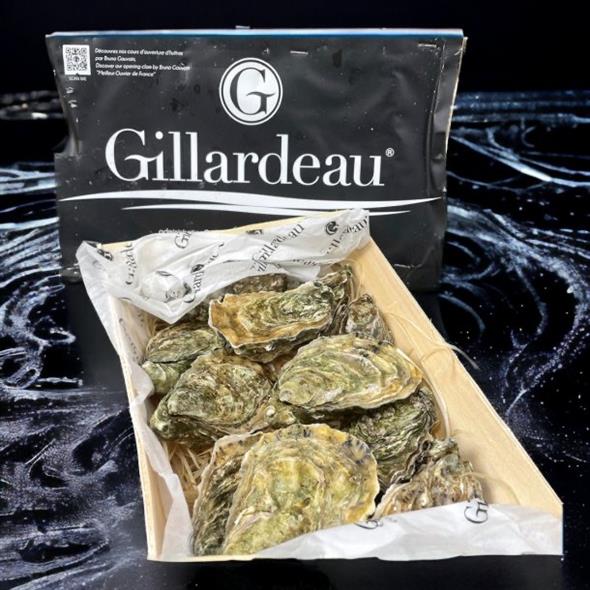 Gillardeau Østers ( Frankrig )