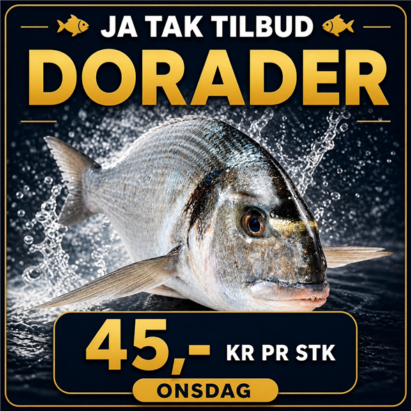 Dorado - 1 stk