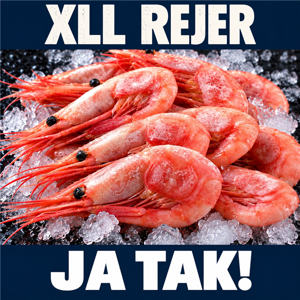 Kæmpe rejer