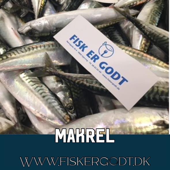 Makrel