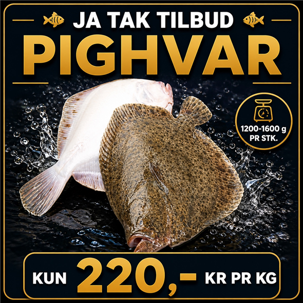 Pighvar