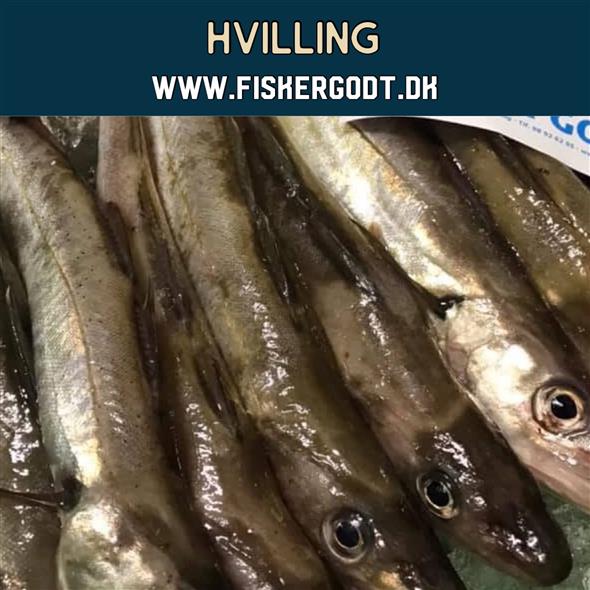 Hvilling - 1000 g