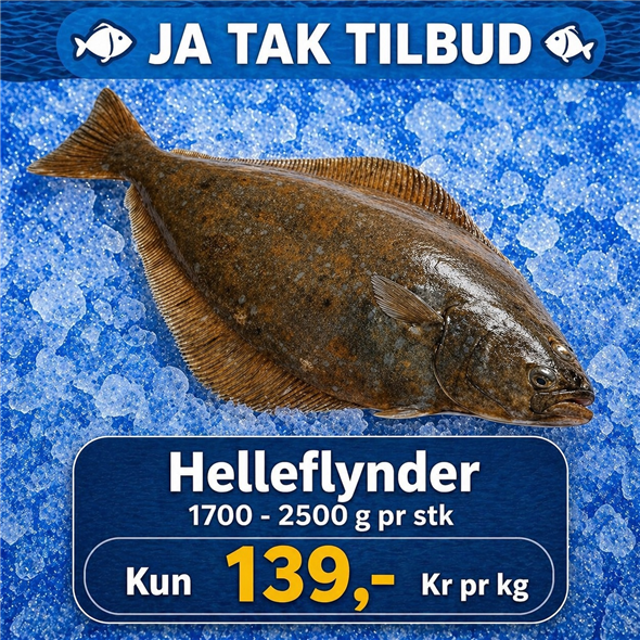 Helleflynder 1700 - 2000 g
