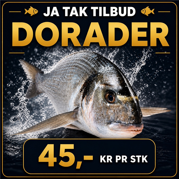Dorado - 1 stk