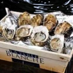 Nytårstilbud 4 - Perle Blanche 12 stk