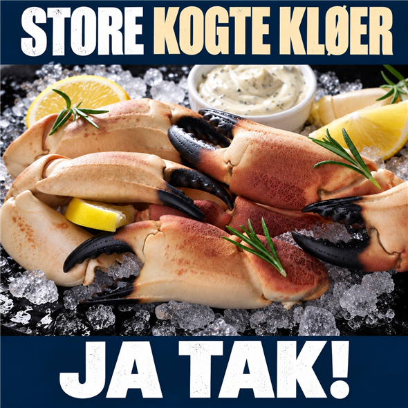 Kogte krabbekløer