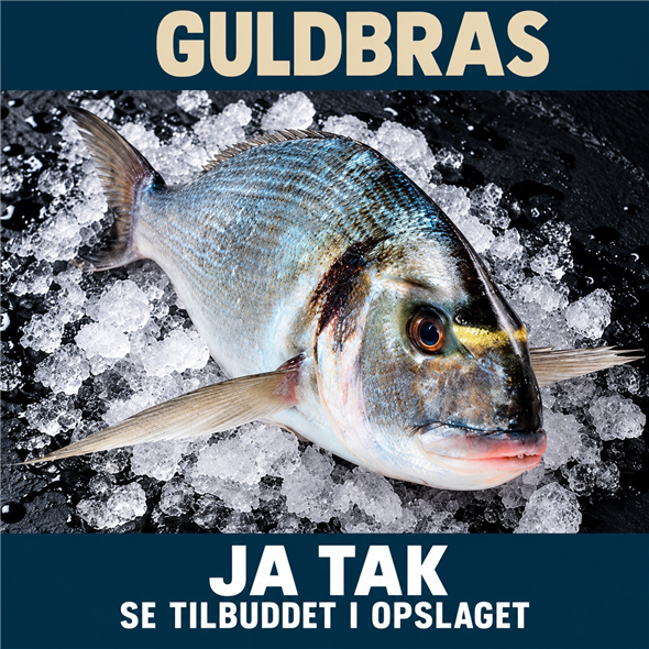 Guldbrasen