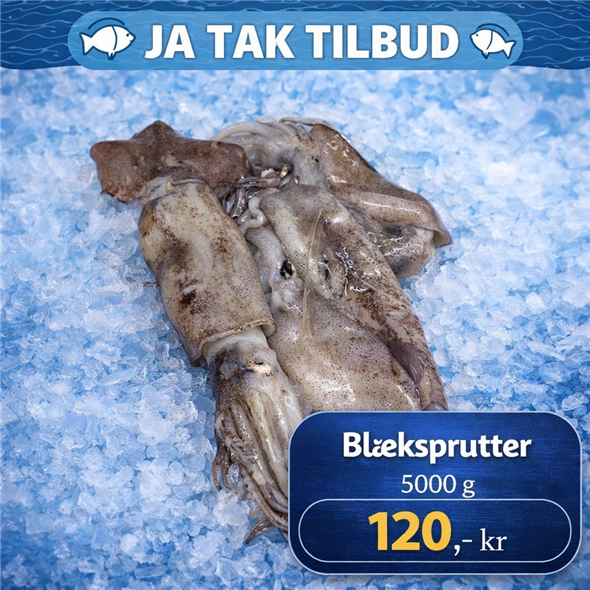 Blæksprutter - 5000 g