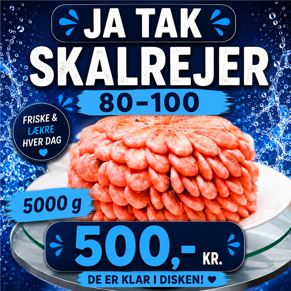 Skalrejer 80 - 100