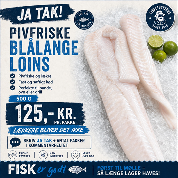 Blå lange Loins