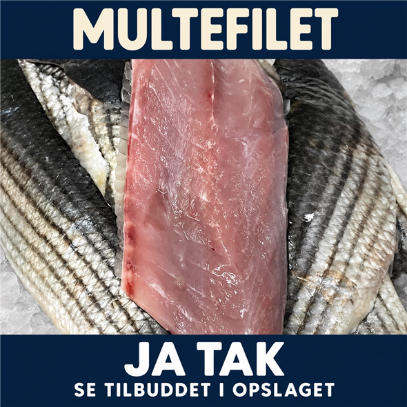Multefilet