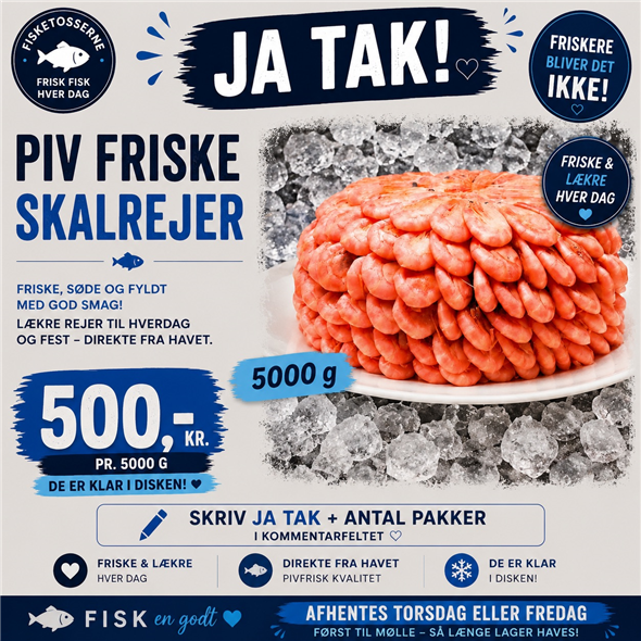 Skalrejer 80 - 100