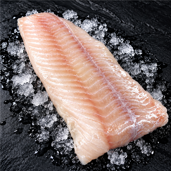 Dagens fisk