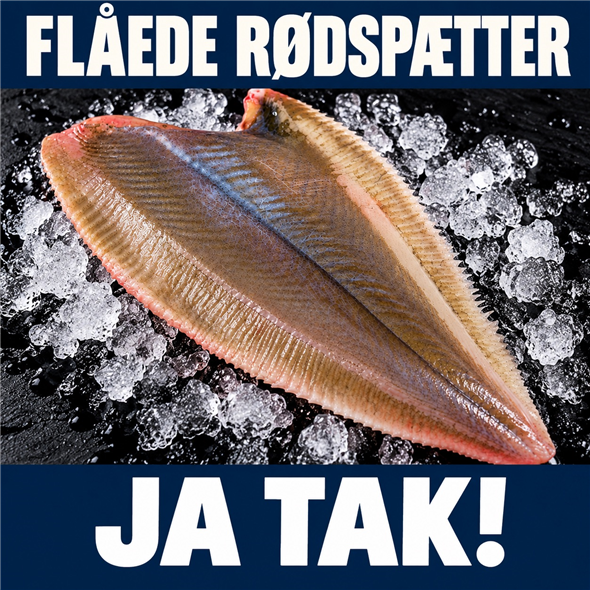 Flåede rødspætte