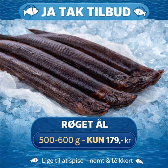 Stor Røget ål